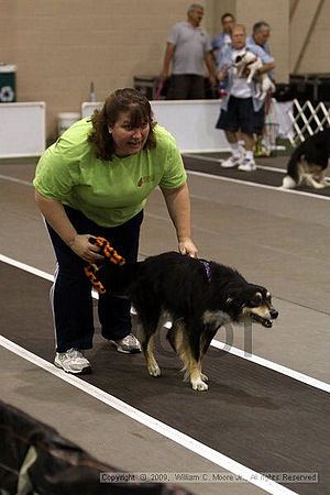 Dawg Derby Flyball Tournement<br />July 11, 2009<br />Classic Center<br />Athens, Ga