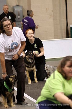 Dawg Derby Flyball Tournement<br />July 11, 2009<br />Classic Center<br />Athens, Ga