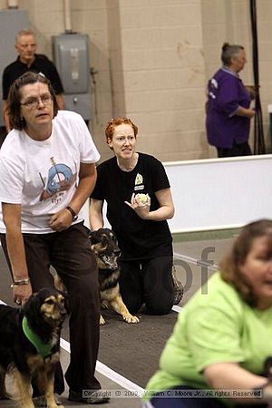 Dawg Derby Flyball Tournement<br />July 11, 2009<br />Classic Center<br />Athens, Ga