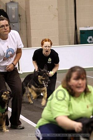 Dawg Derby Flyball Tournement<br />July 11, 2009<br />Classic Center<br />Athens, Ga