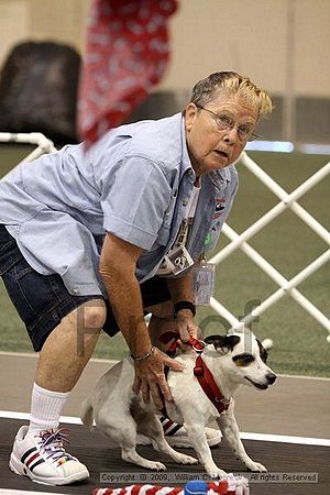 Dawg Derby Flyball Tournement<br />July 11, 2009<br />Classic Center<br />Athens, Ga