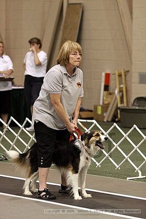 Dawg Derby Flyball Tournement<br />July 11, 2009<br />Classic Center<br />Athens, Ga