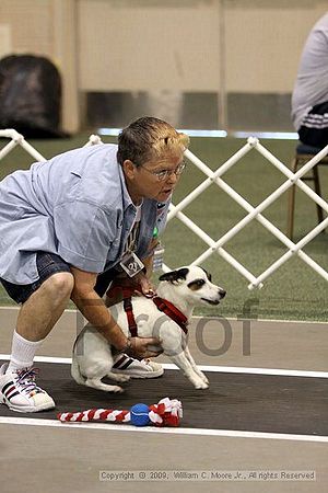 Dawg Derby Flyball Tournement<br />July 11, 2009<br />Classic Center<br />Athens, Ga