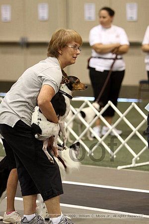 Dawg Derby Flyball Tournement<br />July 11, 2009<br />Classic Center<br />Athens, Ga