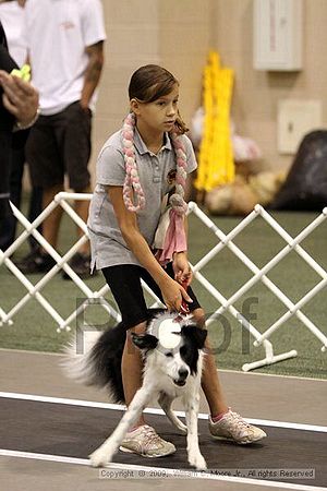 Dawg Derby Flyball Tournement<br />July 11, 2009<br />Classic Center<br />Athens, Ga