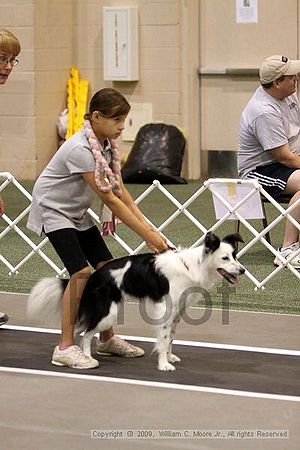 Dawg Derby Flyball Tournement<br />July 11, 2009<br />Classic Center<br />Athens, Ga