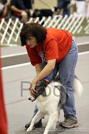 Dawg Derby Flyball Tournement<br />July 11, 2009<br />Classic Center<br />Athens, Ga