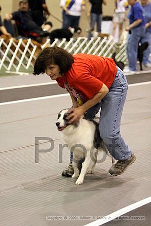 Dawg Derby Flyball Tournement<br />July 11, 2009<br />Classic Center<br />Athens, Ga