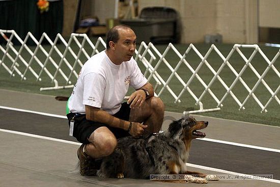 Dawg Derby Flyball Tournement<br />July 11, 2009<br />Classic Center<br />Athens, Ga