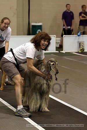 Dawg Derby Flyball Tournement<br />July 11, 2009<br />Classic Center<br />Athens, Ga