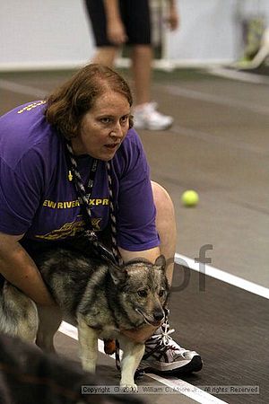 Dawg Derby Flyball Tournement<br />July 11, 2009<br />Classic Center<br />Athens, Ga