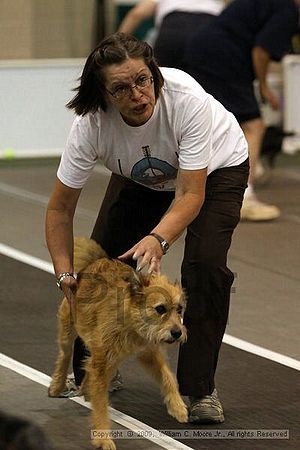 Dawg Derby Flyball Tournement<br />July 11, 2009<br />Classic Center<br />Athens, Ga