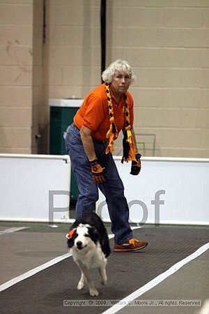 Dawg Derby Flyball Tournement<br />July 11, 2009<br />Classic Center<br />Athens, Ga