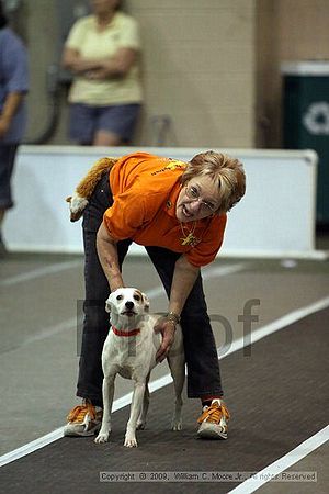 Dawg Derby Flyball Tournement<br />July 11, 2009<br />Classic Center<br />Athens, Ga