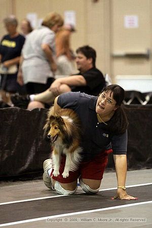 Dawg Derby Flyball Tournement<br />July 11, 2009<br />Classic Center<br />Athens, Ga