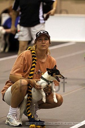 Dawg Derby Flyball Tournement<br />July 11, 2009<br />Classic Center<br />Athens, Ga