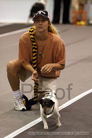 Dawg Derby Flyball Tournement<br />July 11, 2009<br />Classic Center<br />Athens, Ga