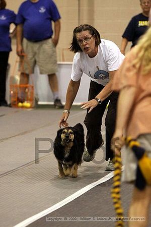 Dawg Derby Flyball Tournement<br />July 11, 2009<br />Classic Center<br />Athens, Ga