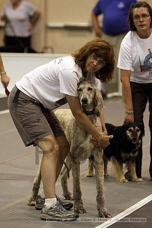 Dawg Derby Flyball Tournement<br />July 11, 2009<br />Classic Center<br />Athens, Ga