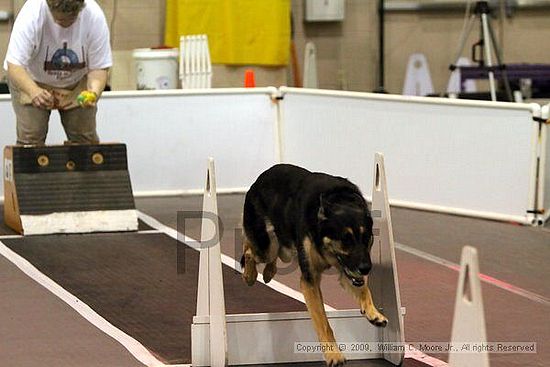 Dawg Derby Flyball Tournement<br />July 11, 2009<br />Classic Center<br />Athens, Ga