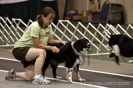 Dawg Derby Flyball Tournement<br />July 11, 2009<br />Classic Center<br />Athens, Ga