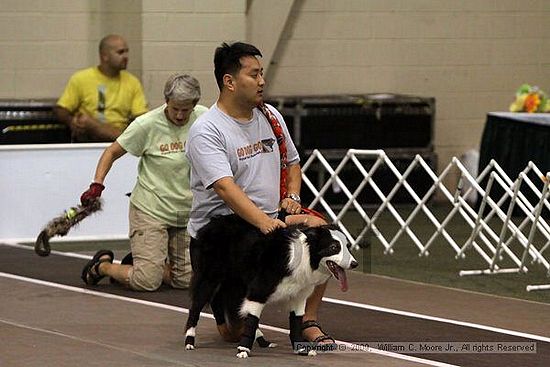 Dawg Derby Flyball Tournement<br />July 11, 2009<br />Classic Center<br />Athens, Ga