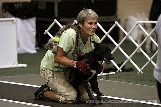 Dawg Derby Flyball Tournement<br />July 11, 2009<br />Classic Center<br />Athens, Ga