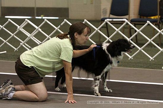 Dawg Derby Flyball Tournement<br />July 11, 2009<br />Classic Center<br />Athens, Ga