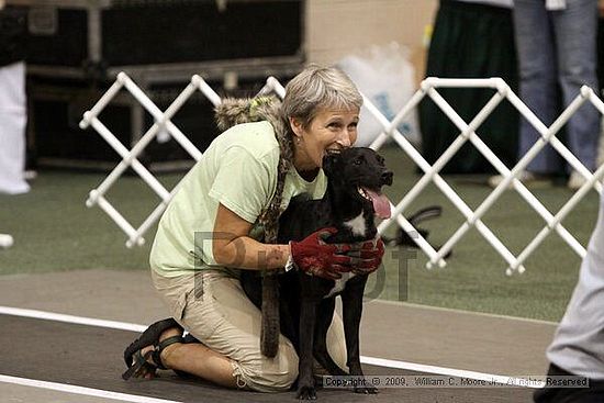 Dawg Derby Flyball Tournement<br />July 11, 2009<br />Classic Center<br />Athens, Ga