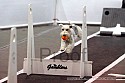 img_0637_thm.jpg