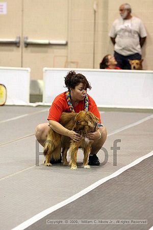 Dawg Derby Flyball Tournement<br />July 11, 2009<br />Classic Center<br />Athens, Ga