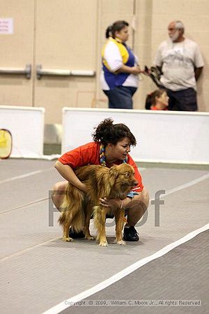 Dawg Derby Flyball Tournement<br />July 11, 2009<br />Classic Center<br />Athens, Ga