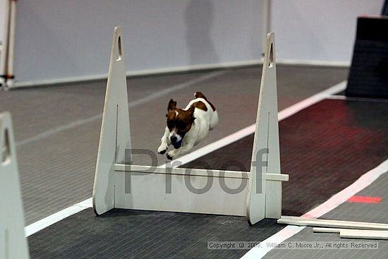 Dawg Derby Flyball Tournement<br />July 11, 2009<br />Classic Center<br />Athens, Ga