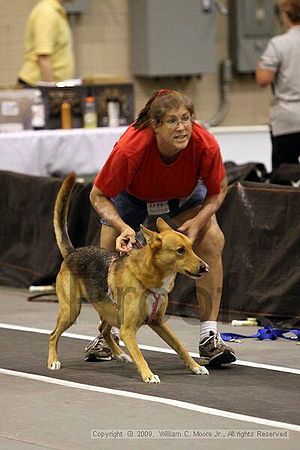 Dawg Derby Flyball Tournement<br />July 11, 2009<br />Classic Center<br />Athens, Ga