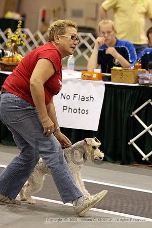 Dawg Derby Flyball Tournement<br />July 11, 2009<br />Classic Center<br />Athens, Ga