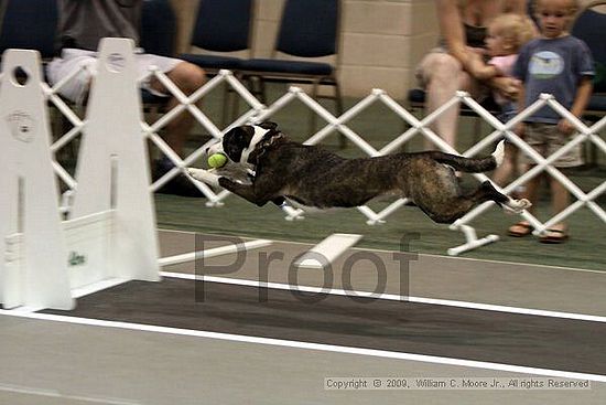 Dawg Derby Flyball Tournement<br />July 11, 2009<br />Classic Center<br />Athens, Ga