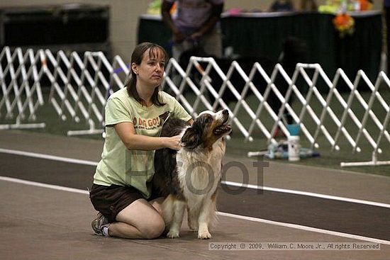 Dawg Derby Flyball Tournement<br />July 11, 2009<br />Classic Center<br />Athens, Ga