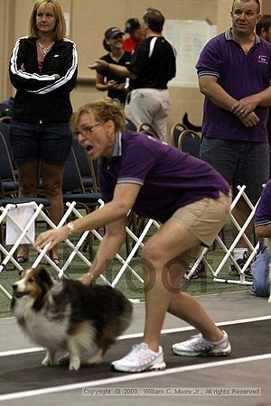 Dawg Derby Flyball Tournement<br />July 11, 2009<br />Classic Center<br />Athens, Ga