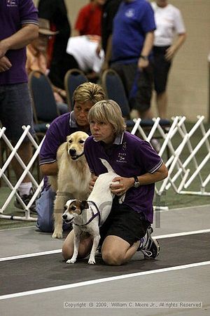 Dawg Derby Flyball Tournement<br />July 11, 2009<br />Classic Center<br />Athens, Ga