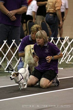 Dawg Derby Flyball Tournement<br />July 11, 2009<br />Classic Center<br />Athens, Ga