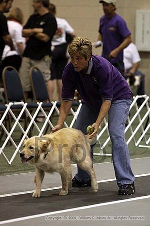 Dawg Derby Flyball Tournement<br />July 11, 2009<br />Classic Center<br />Athens, Ga