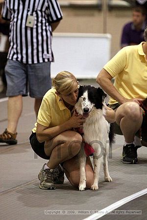 Dawg Derby Flyball Tournement<br />July 11, 2009<br />Classic Center<br />Athens, Ga