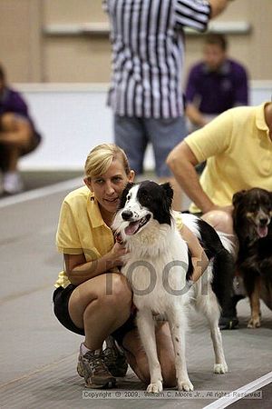 Dawg Derby Flyball Tournement<br />July 11, 2009<br />Classic Center<br />Athens, Ga