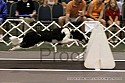 img_0119_thm.jpg