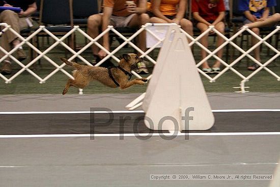 Dawg Derby Flyball Tournement<br />July 11, 2009<br />Classic Center<br />Athens, Ga