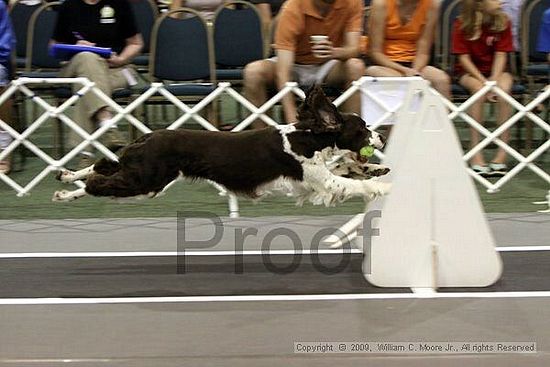 Dawg Derby Flyball Tournement<br />July 11, 2009<br />Classic Center<br />Athens, Ga