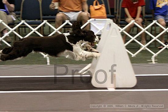 Dawg Derby Flyball Tournement<br />July 11, 2009<br />Classic Center<br />Athens, Ga