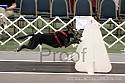 img_0230_thm.jpg