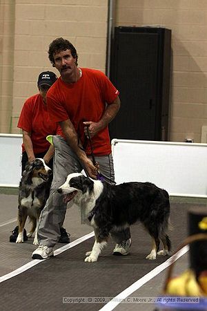 Dawg Derby Flyball Tournement<br />July 11, 2009<br />Classic Center<br />Athens, Ga