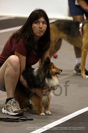 Dawg Derby Flyball Tournement<br />July 11, 2009<br />Classic Center<br />Athens, Ga